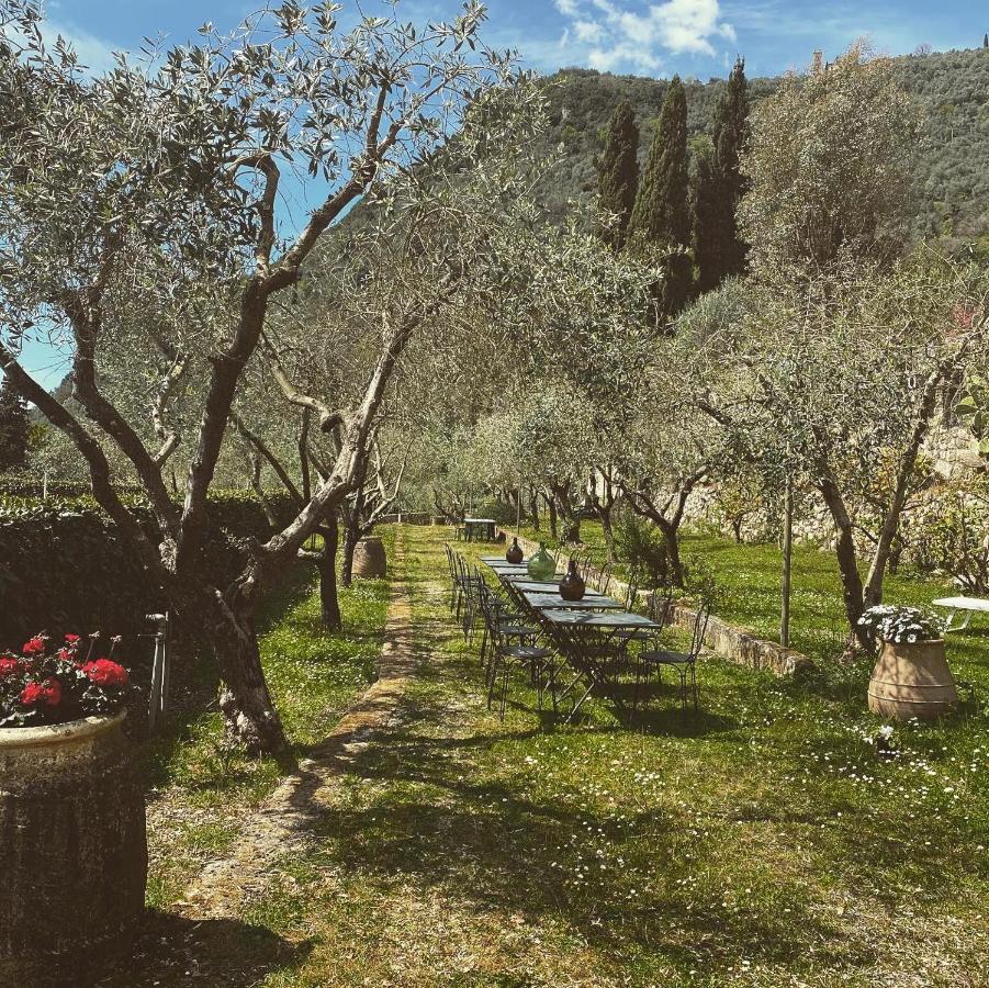Sotto Il Cielo Di Toscana Appartamenti In Tenuta Only Adults No Pet Camaiore Dış mekan fotoğraf